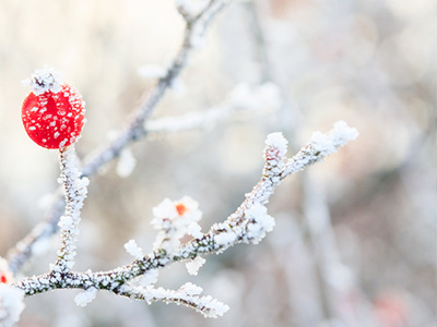 Witterungsbeständige Fliesen für Terrasse, Balkon und Garten Frostbeständige Fliesen für Terrasse, Balkon und Garten
